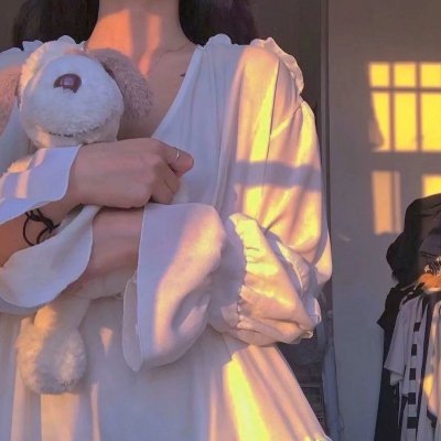 明星老婆的贴身保镖